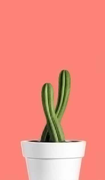 免费商用的网站攻击工具手机版